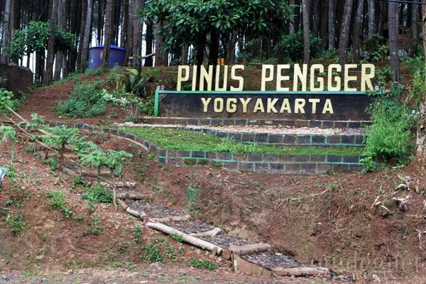 Tempat Wisata Hits Hutan Pinus Pengger